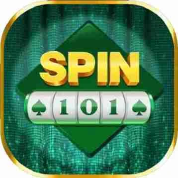 Spin 101